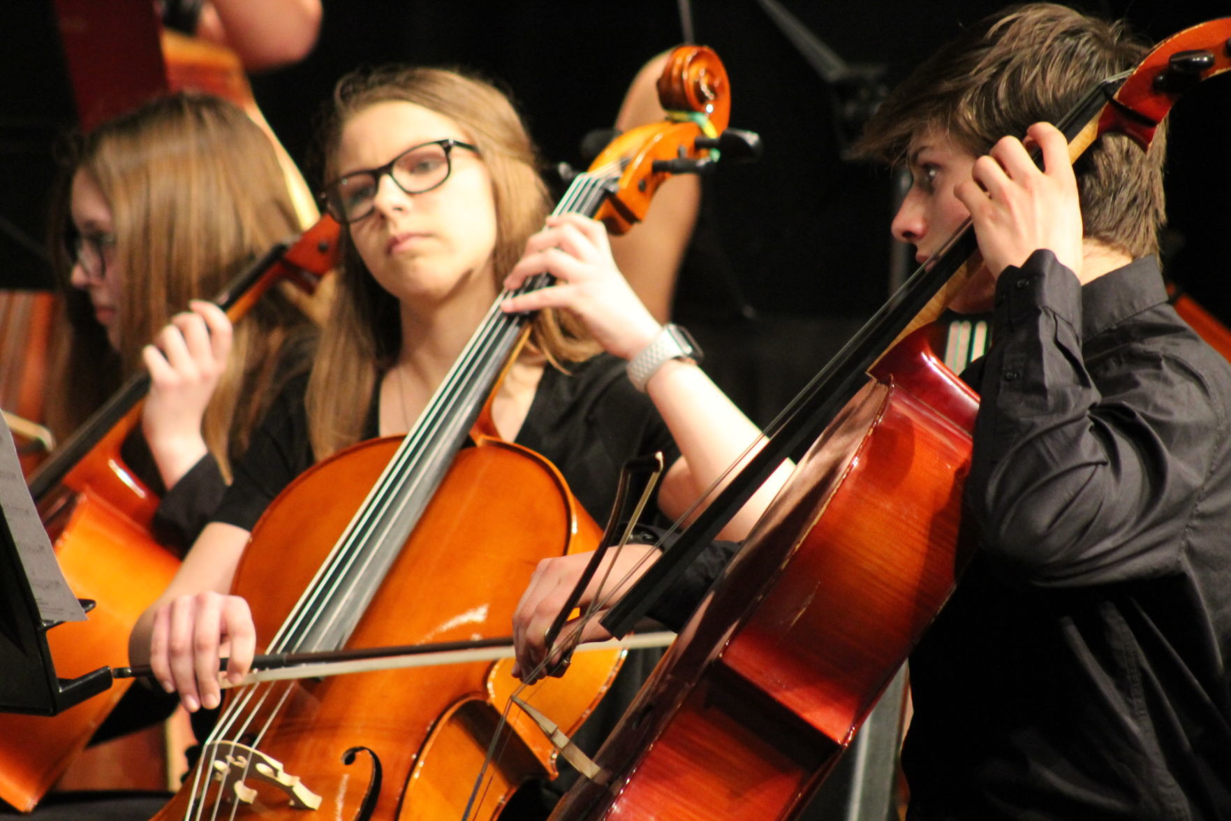 BD Orchestras spring concert 2019 022.JPG